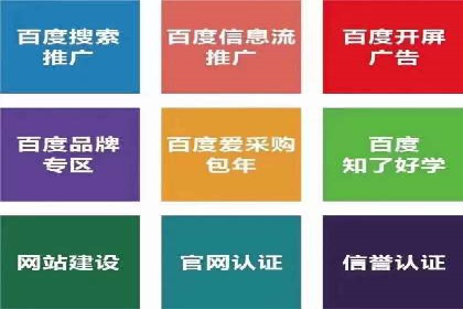 某sem代运营公司：打造品牌营销新模式